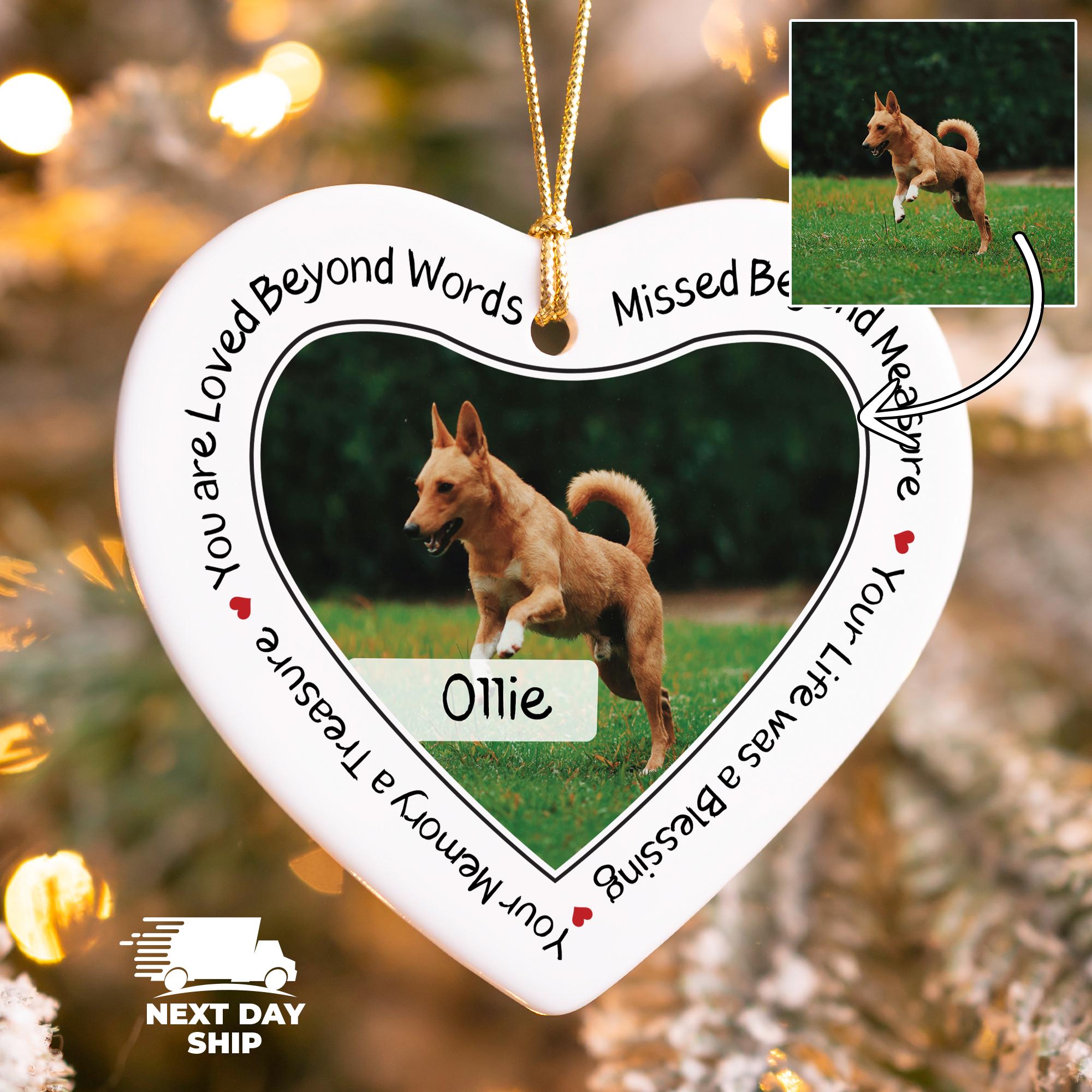 Your Love Beyond Words Pet Memorial Ornament,Custom Photo Dog Ornament, Personalized Cat Ornament, Forever Loved Pet Ornament,Pet Lover Gift
