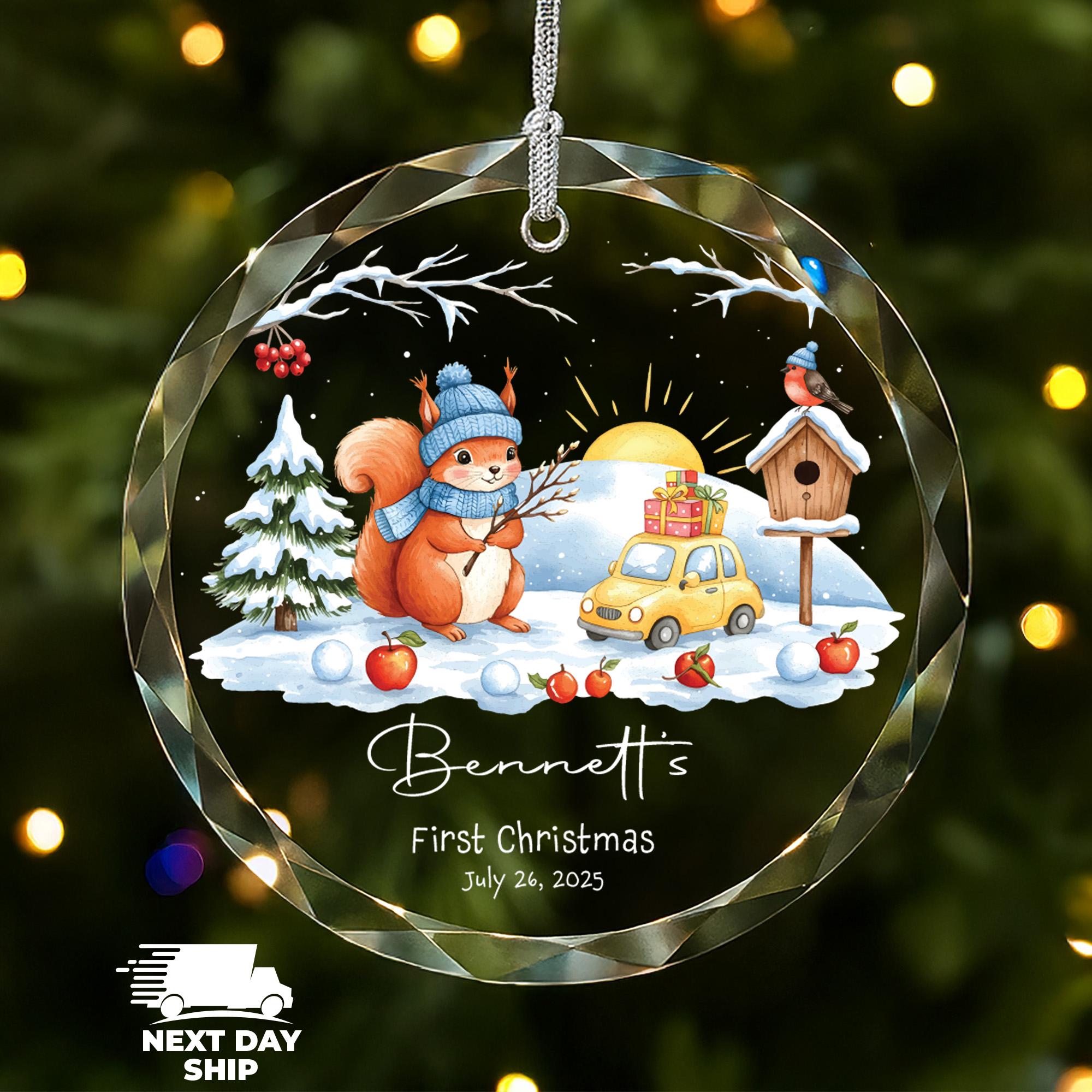 Cute Baby's First Christmas Ornament, Christmas Scene Ornament, Kids Name Ornament, Baby Birth Date Ornament, Baby Girl Squirrel Ornament