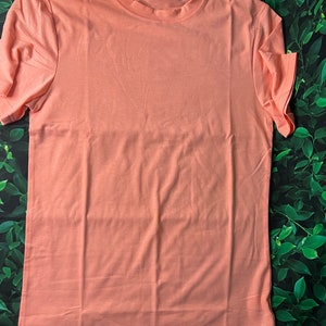 Puede incluir: Una camiseta lisa de color melocot&oacute;n con mangas cortas y cuello redondo.
