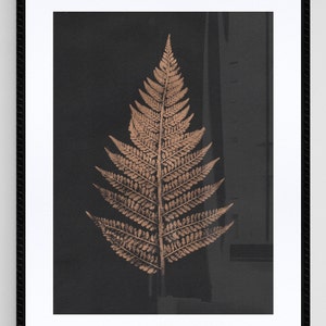 Gold Fern Original Print