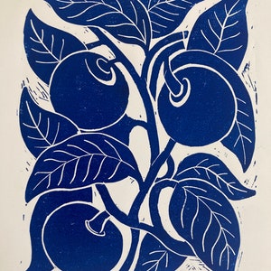 Blue Fruits