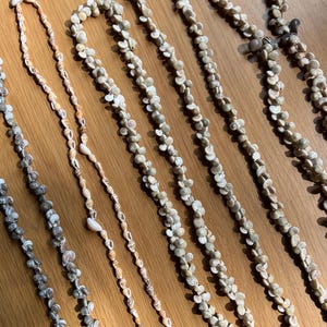 Puede incluir: Varias hebras de collares de conchas de diferentes longitudes y diseños. Los collares están hechos de pequeñas conchas naturales en tonos blancos, beige y marrón. Los collares están dispuestos sobre una superficie de madera, mostrando sus texturas y patrones naturales.