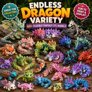 What’s included preview showing baby dragons, crystal dragons, floral dragons, skeleton dragons, winged dragons, and sea dragons.