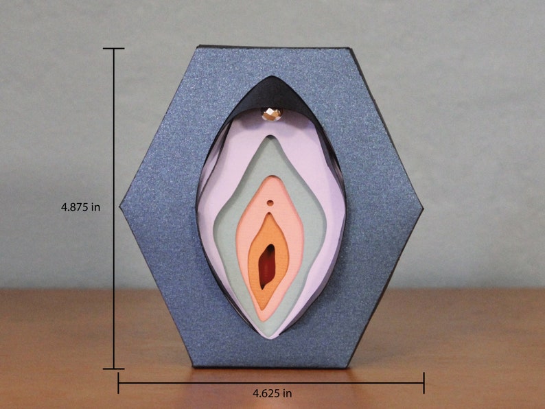 Layered Paper Craft Vulva Art, Wall Art, Desk Art, Sex Ed, Anatomical Art, Vagina Art Etsy Ireland
