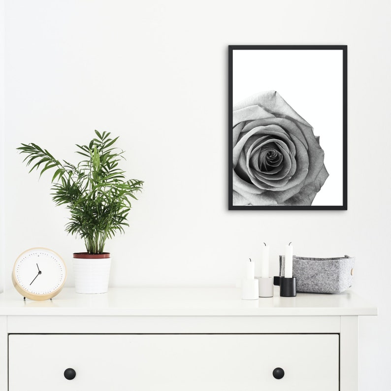 Rose Wall Art Printable, Black & White Rose Print, Home Decor, Digital Download, Rose Art Print, Rose Close-up Print, Flower Printable image 4