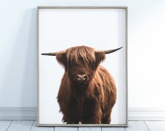 Highland Cow Print, Printable Wall Art, Modern Boho, Farmhouse Decor, Downloadable Poster, Home Decor, Wall Art, Cow Printable, Cow Print