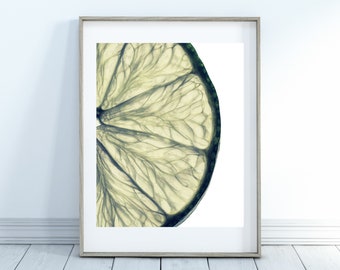 Lime Printable, Lime Slice Print, Wall Art Printable, Home Decor, Kitchen Wall Art, Digital Download, Green Citrus Fruit Print, Fruit Print