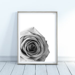 Rose Wall Art Printable, Black & White Rose Print, Home Decor, Digital Download, Rose Art Print, Rose Close-up Print, Flower Printable image 1