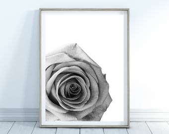 Rose Wall Art Printable, Black & White Rose Print, Home Decor, Digital Download, Rose Art Print, Rose Close-up Print, Flower Printable