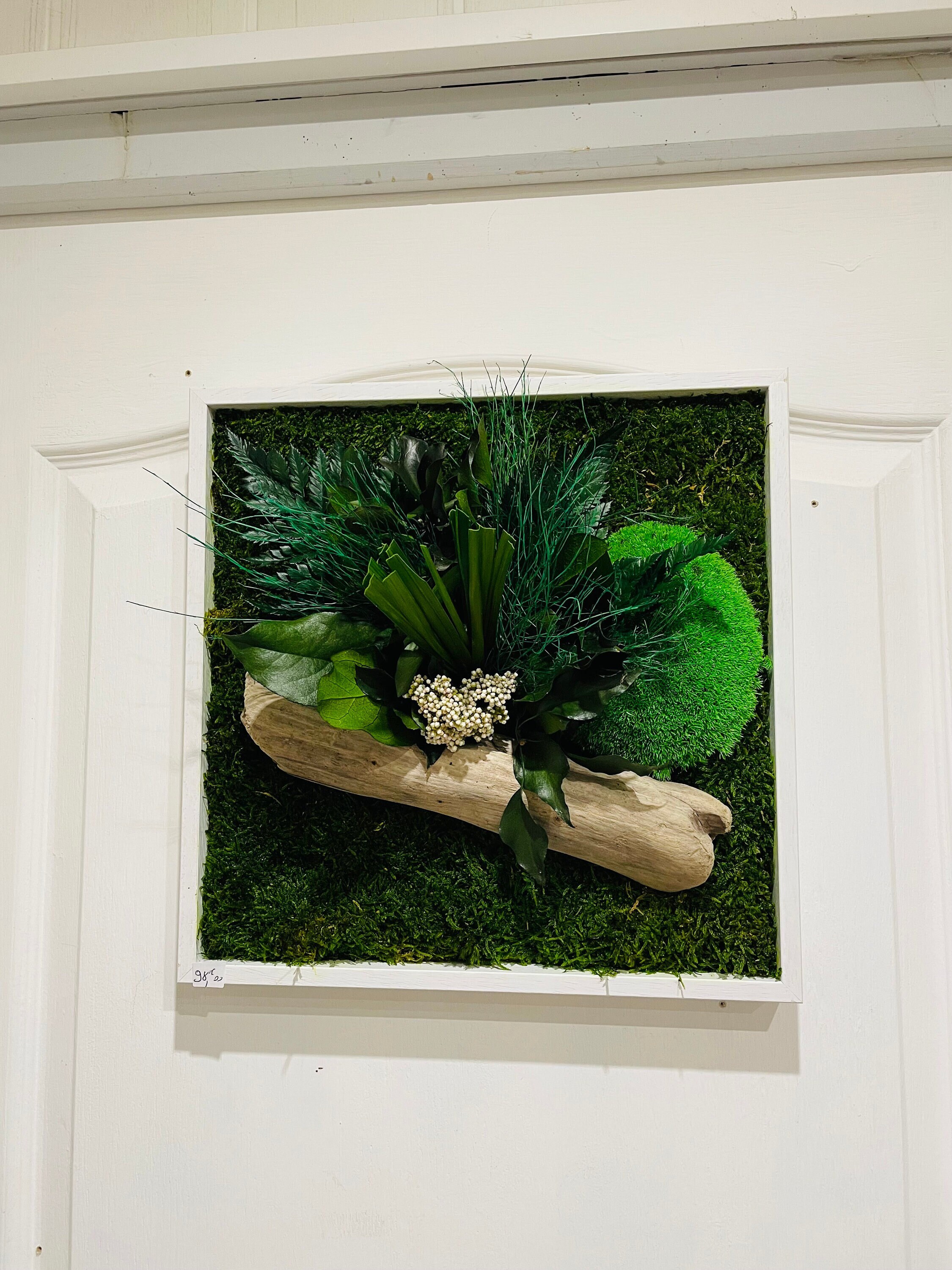 Tableau Végetal Stabilisée