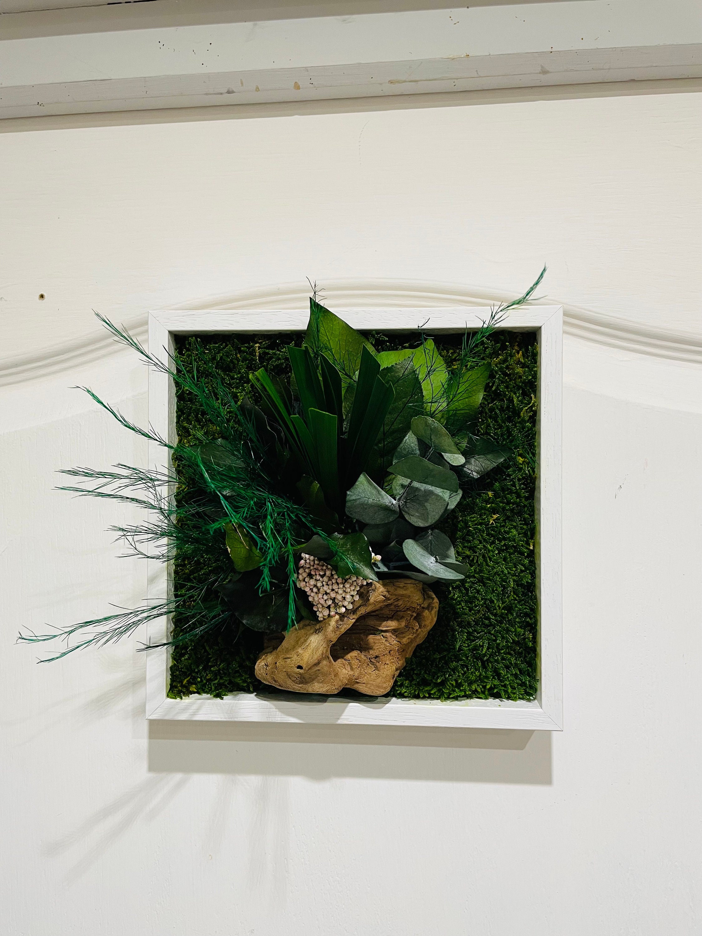 Tableau Végétal Stabilisé