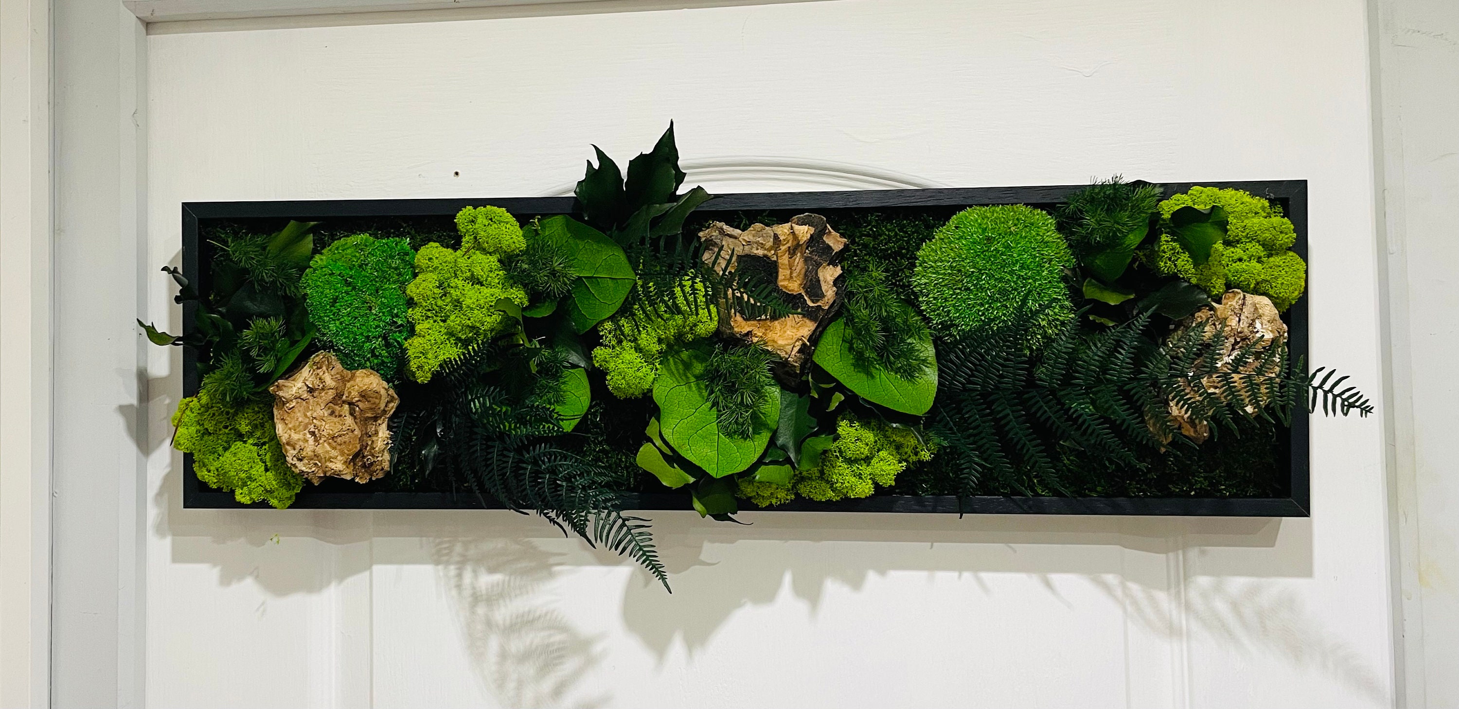 Cadre Végetal Stabilisé