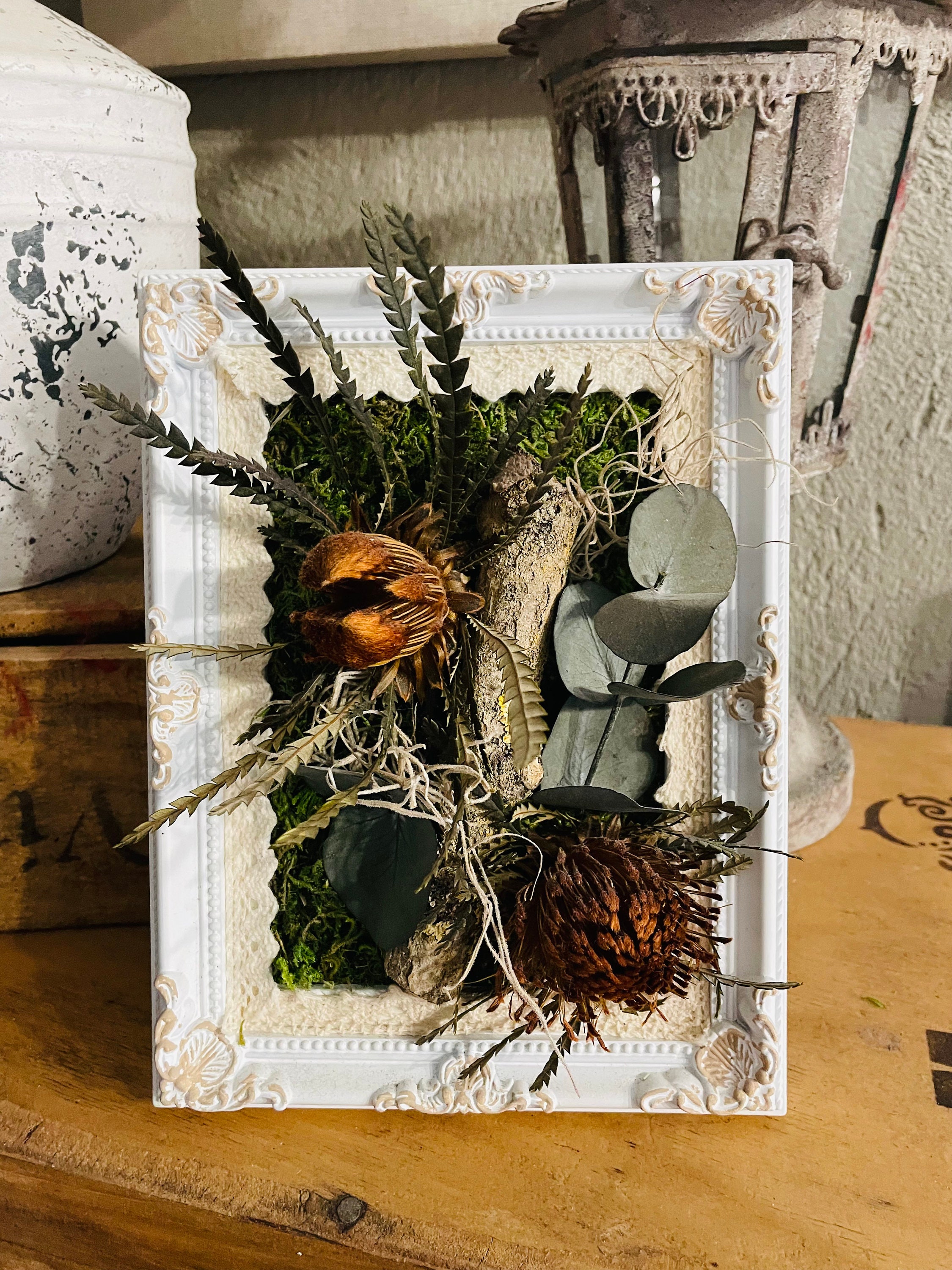 Cadre Végétal Stabilisé