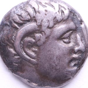 Kyrenaica, Kyrene Authentic Tetradrachm 294-275BC|Stunning Quality|Antique real genuine Greek coin|Mythology|Silver Greek coin|Plant