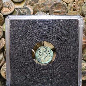 Ancient Greek Coin|Roman greek art|Ancient artifact (300-100BC)|Antique real genuine coin|Mythology|History gift