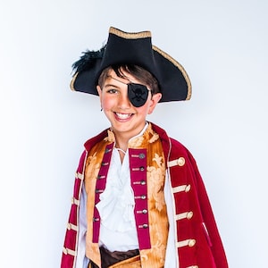 Captain Hook Velvet Pirate Coat image 1