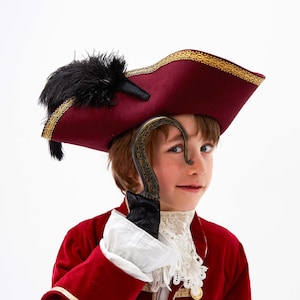 Puede incluir: Un niño con un disfraz de pirata, con un sombrero burdeos con ribete dorado y una pluma negra. El disfraz incluye una chaqueta de terciopelo rojo, un cuello blanco con volantes y un garfio decorativo.