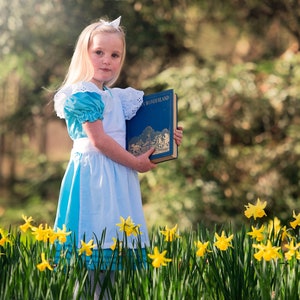 Alice in Wonderland Outfit | Pure Cotton Alice Dress for Tea Party and Halloween Costume