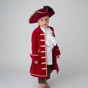 Captain Hook Velvet Pirate Coat image 4