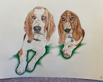 8”x10” 1-2 Pet(s) Portrait Drawing