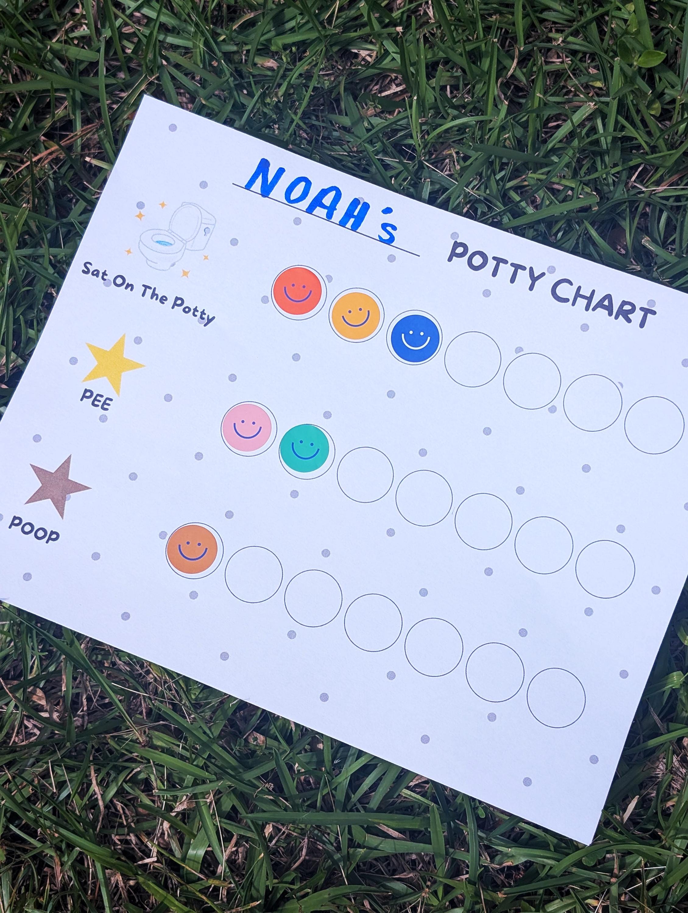 Basic Potty Training Chart for Toddlers - Printable PDF File - Gender ...