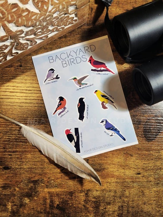 BIRDING STICKERS Backyard Birds Gifts for Birders Blue Jay Etsy