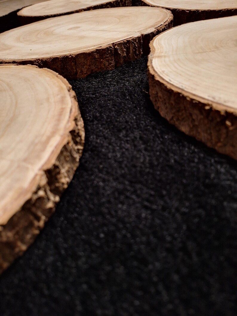 Tree Disc With Bark Real Wood Tree Discs for Your DIY Project Side