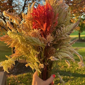 May include: A bouquet of dried flowers in shades of red, orange, yellow, and beige. The flowers are held in a person's hand, with a blurred background of trees and grass.
