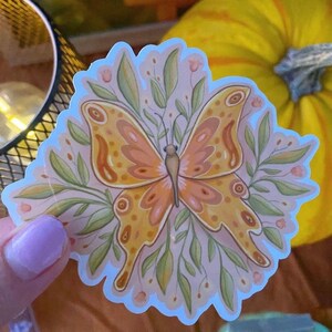 Butterfly Vinyl Sticker
