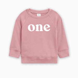 One Organic Cotton Pullover 1st Birthday Baby One Birthday Pullover ...