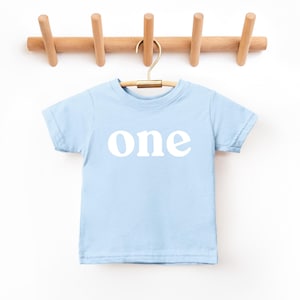 May include: A light blue toddler t-shirt with the word "one" printed in white. The shirt is hanging on a wooden hanger from a wooden wall rack. The shirt is made of soft material.