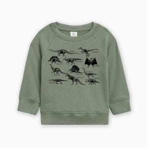 Organic Cotton Dinosaur Toddler Pullover, Trendy Dinosaur Kids Shirt, Cute dino Natural Toddler Pullover, Types Of Dinosaurs Sweatshirt