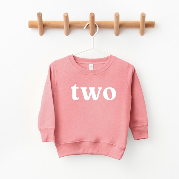 Two Birthday Toddler Kids Sweatshirt | 2nd Birthday boy girl Two Birthday Sweatshirt, Toddler baby Boy girl Sweatshirt, boy sweater