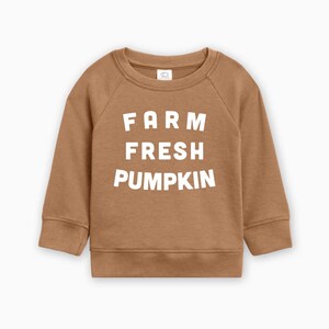 May include: A brown sweatshirt with the words "FARM FRESH PUMPKIN" in white block letters. The long-sleeved top has a crew neck and raglan sleeves. This fall-themed apparel is suitable for children.