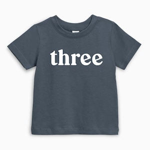 Organic Cotton Three birthday cake shirt, Minimalist Third birthday baby shirt | Three Birthday shirt, Toddler birthday boy, birthday girl