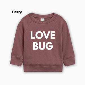 Organic cotton Valentine's Day Outfit for Kids | love bug toddler pullover | Girls Valentine's Day Outfit | Toddler baby sweatshirts