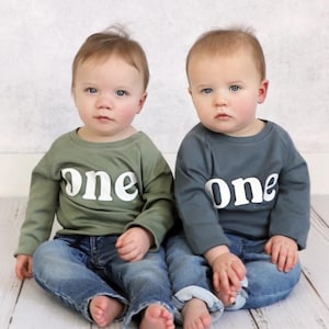 Organic Cotton First Birthday Toddler Pullover Shirt, 1st Birthday Shirt, One Birthday Shirt, One Toddler Shirt, First Birthday Party Shirt