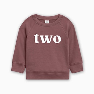 May include: A mauve-colored sweatshirt with long sleeves. The word "two" is printed in large, white letters across the front. The sweatshirt is designed for children.