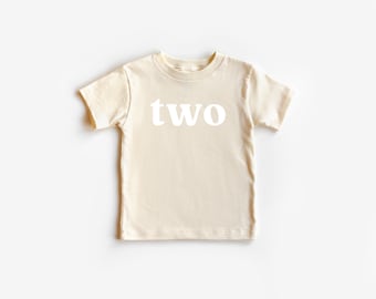 Two birthday | boy and girl Birthday T-shirt, birthday Party Shirt, Second Birthday Tee, Minimal Two Year Birthday Party Shirt