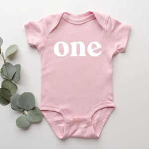 May include: A light pink baby bodysuit with the word "one" printed in white. The short-sleeved onesie is made of soft material and is suitable for a baby's first birthday. A sprig of green leaves is next to the bodysuit.