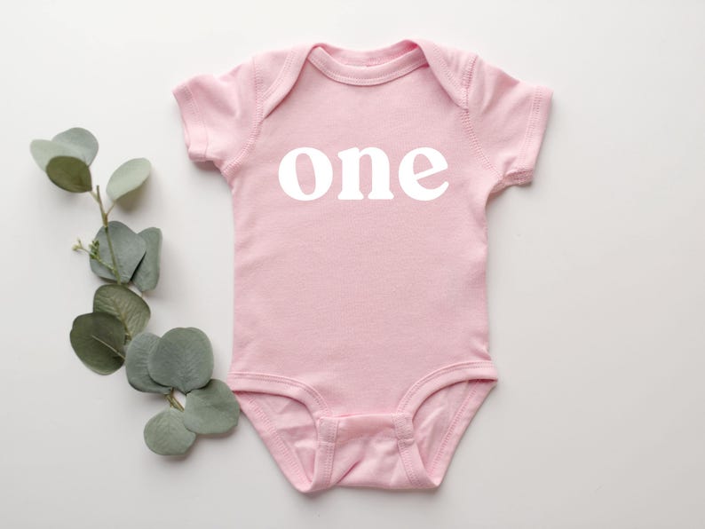 May include: A light pink baby bodysuit with the word "one" printed in white. The short-sleeved onesie is made of soft material and is suitable for a baby's first birthday. A sprig of green leaves is next to the bodysuit.