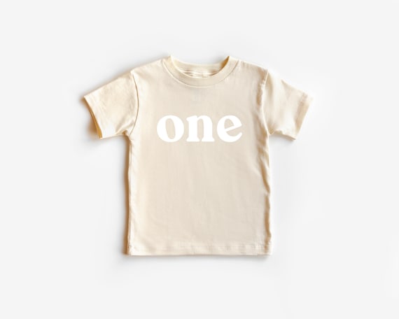 Bold One Period 1st Birthday Shirt, Baby Girls and Baby Boys First Birthday and Cake Smash Outfit, Retro Vintage One First Birthday Shirt