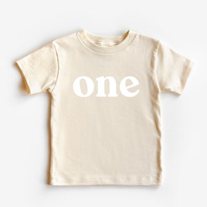 Bold One Period 1st Birthday Shirt, Baby Girls and Baby Boys First Birthday and Cake Smash Outfit, Retro Vintage One First Birthday Shirt