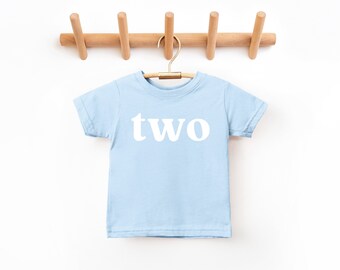 Two birthday | boy and girl Birthday T-shirt, birthday Party Shirt, Second Birthday Tee, Minimal Two Year Birthday Party Shirt