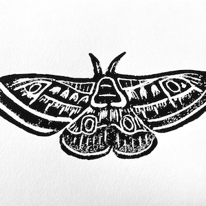 Moth - hand printed linocut