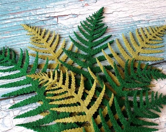 10 Large Felt Ferns | Pre-cut Shapes for DIY Cardmaking and Sewing Crafts | Die Cut Fern