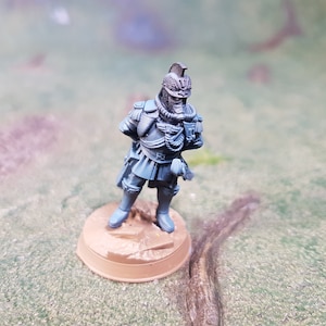 Death Korps Marshall Fits Kieg 40k
