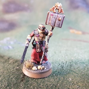 May include: A miniature figure of a person wearing a red robe and holding a staff with a book and skull on top. The figure is standing on a round base with a brown rim.