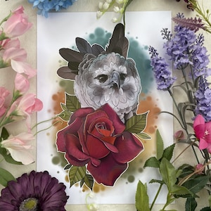 Harpy Eagle Art Print