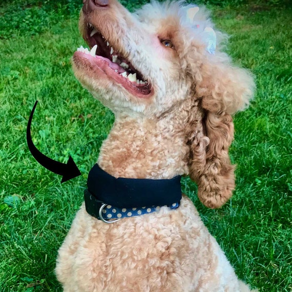 Chill collar sale